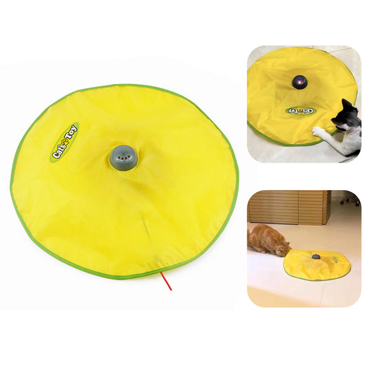 Automatic 4 Speed Interactive Pet Toy
