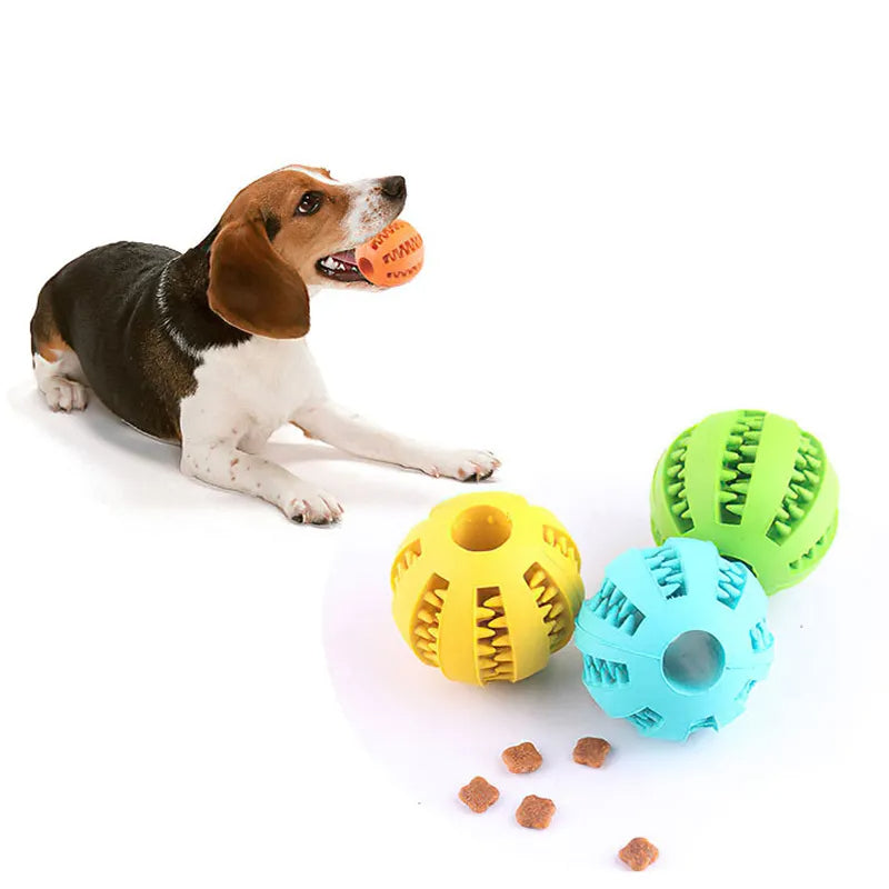 Elastic Chew Toy for Dogs
